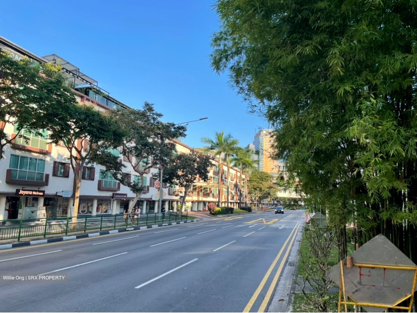 Tiong Bahru Road (D3), Shop House #596331991